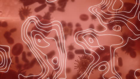 animación de líneas en movimiento sobre células en movimiento sobre fondo rojo