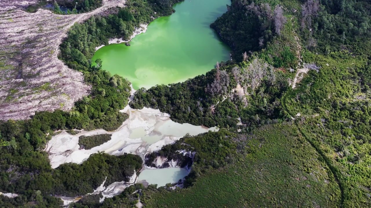 Panoramatický záběr z dronu na geotermální jezero Devil's Bath v Rotorua, Bay of Plenty, Nový Zéland, zachycující zářivě zelenou vodu, sopečné geotermální prvky a okolní původní les.