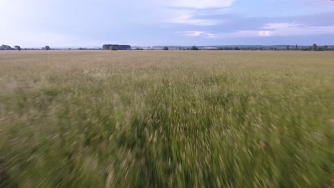 una vista aérea rápida volando sobre los campos de cultivo en francia.
