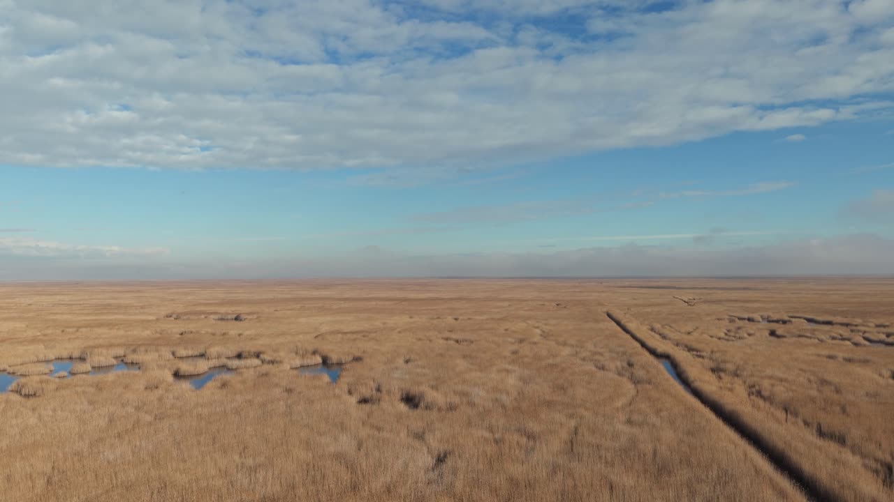 Drone view of an expansive golden grassland stretches endlessly toward the horizon under a wide blue sky with scattered clouds. The warm tones of the dry grass contrast with the cool sky