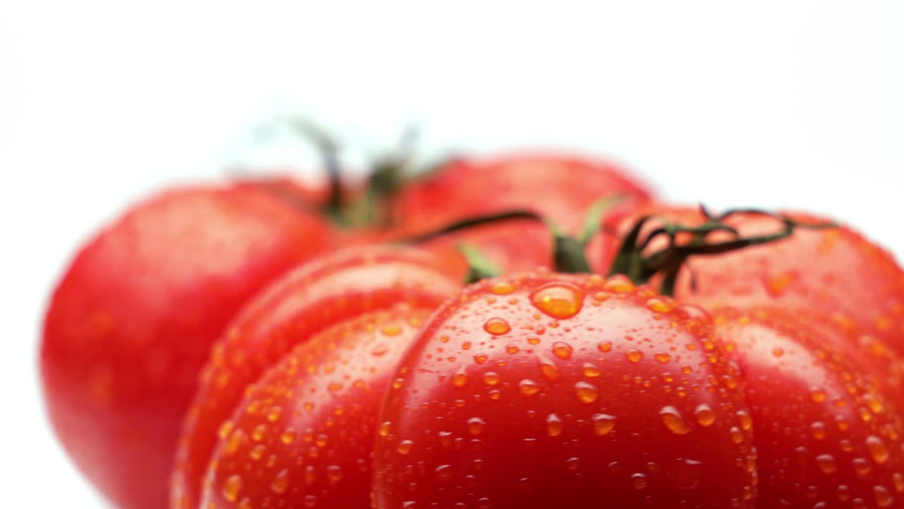 은 토마토 (루핑)