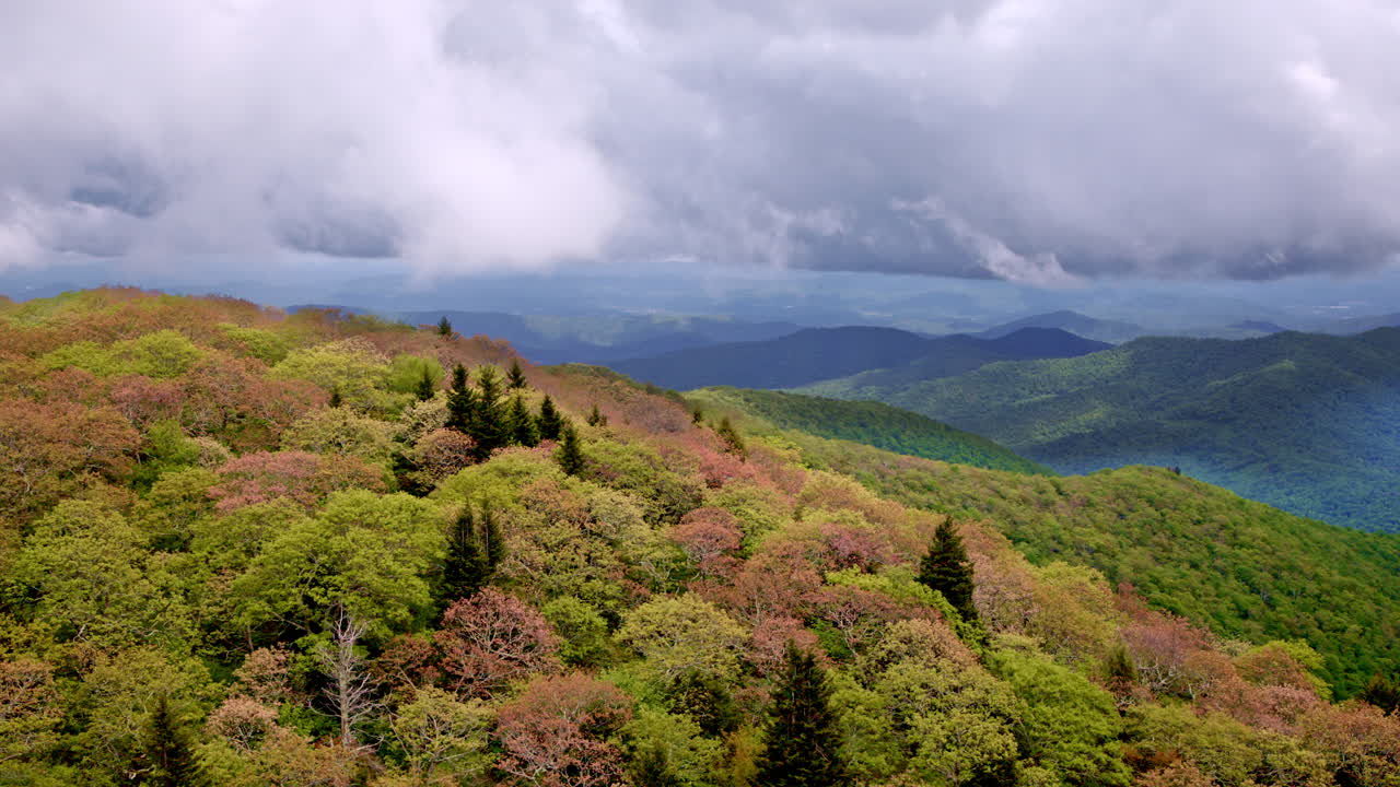 Moody drone view of the vast wilderness in the Smokies cloaked in fog and drizzle