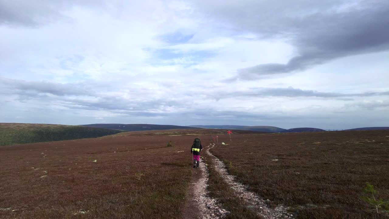 A woman together with her French bulldog hiking in the Swedish mountains on a cloudy summer day