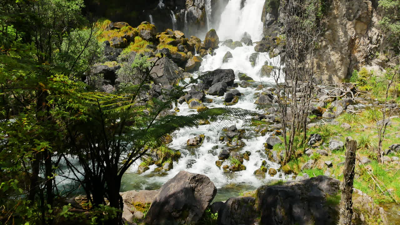 Tilt down shot of idyllic waterfall crashing down the cliff wall surrounded by green national park in summer - New Zealand Landscape
