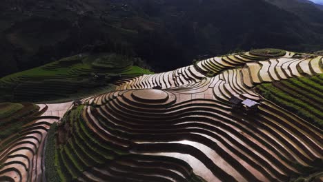 aerial view of stunning rice terraces in vietnam