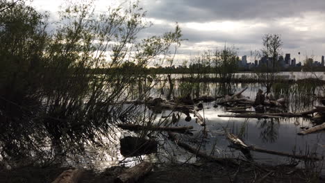 wide view of serene wetlands and city in the distance