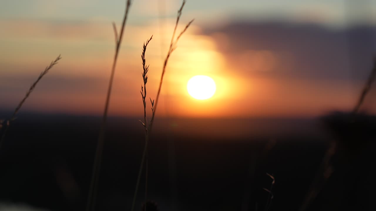 El sol se pone detrás de la hierba del prado en Francia con un cálido bokeh dorado