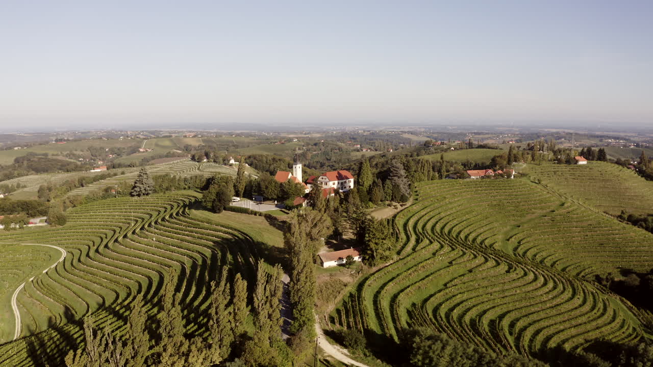 Vista aerea di vigneti panoramici e dolci colline