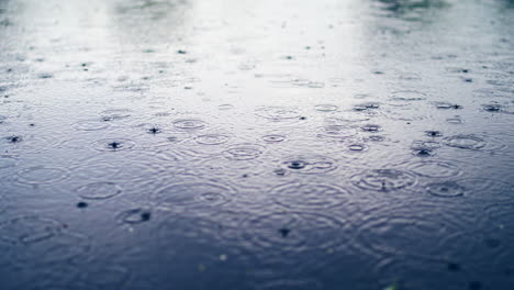 las gotas de lluvia caen sobre la superficie del agua de un estanque, un lago o un río formando un fondo uniforme.
