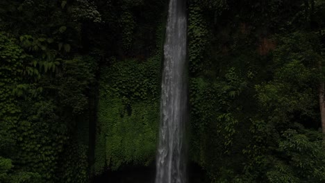 bottom to top view of a majestic waterfall in the north of bali in the depths of jungle, aerial