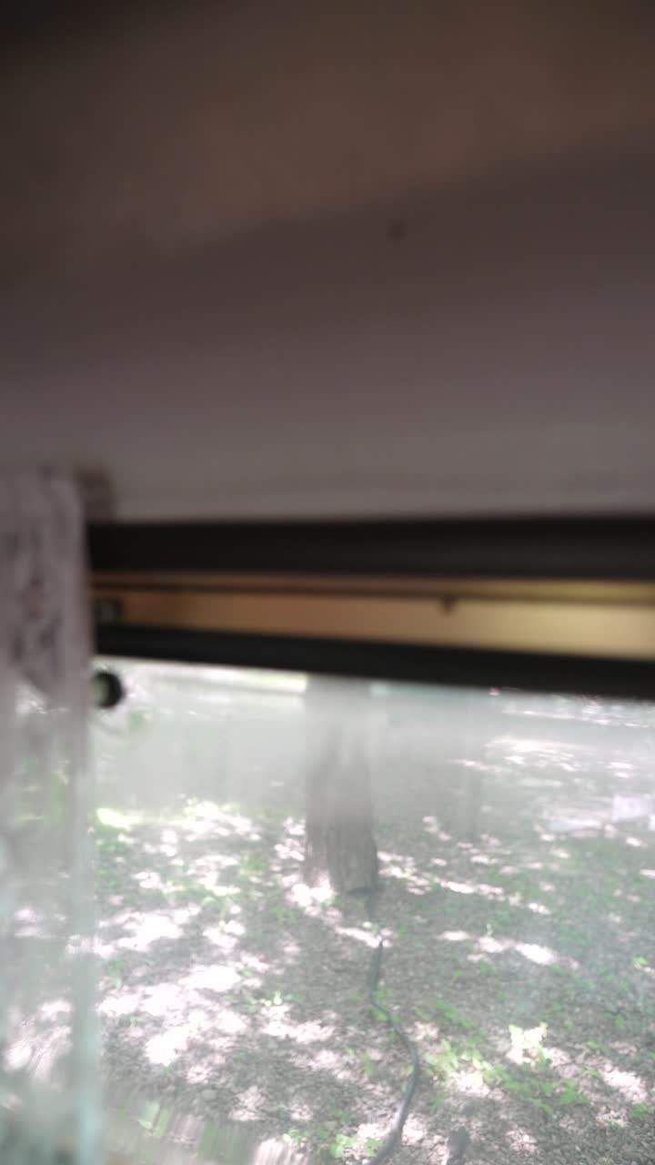 두 명의 여성이 캠퍼 밴에서 휴식을 취하고 있습니다.