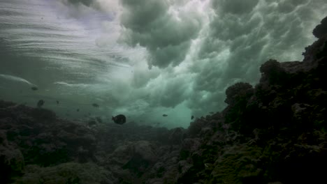 olas rodando sobre un arrecife de coral, disparadas contra la superficie del agua, desde el agua contra la luz en un ambiente oceánico tropical