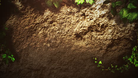 fondo cinematográfico con piedras