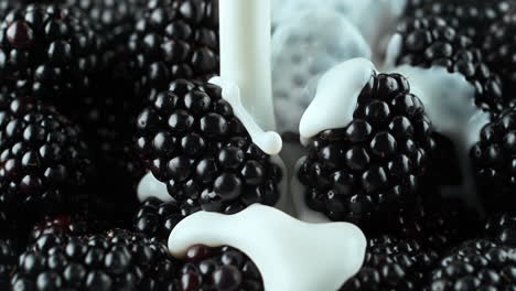 blackberries poured with yogurt - a milky liquid covers the fruit in slow motion