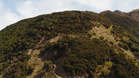 imágenes de drones de colinas y bosques con caminos que suben la colina