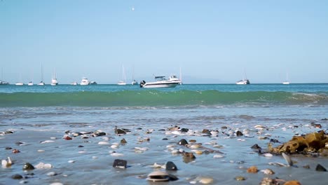 slowmo - low close up shot of seaweed and shells with waves and sailboats in background on waiheke island, new zealand