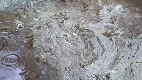 close up shot of a dirt flowing and floating in polluted water after heavy rainfall on a cloudy day