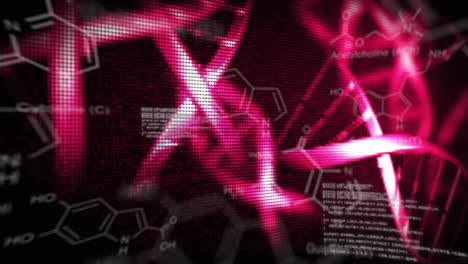 hélice de adn con ilustraciones de la estructura química