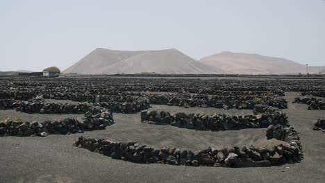 la geria vineyards in lanzarote against smoky mountains