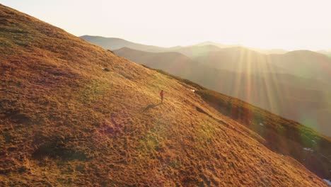 drone 4k clip of batrana mountain refuge high at 2170m in bucegi mountains, romania, on a beautiful autumn day