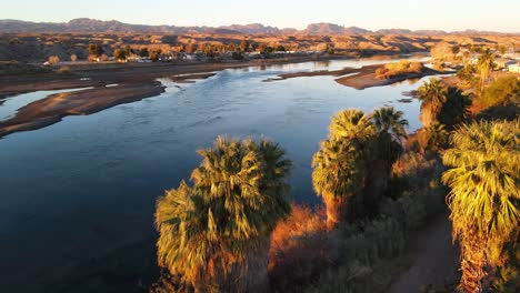 estableciendo una toma en la hora dorada de un dron volando sobre palmeras y mostrando un río azul en parker arizona