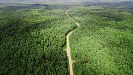 aerial of winding gravel road cutting through latvia’s dense coastal wilderness