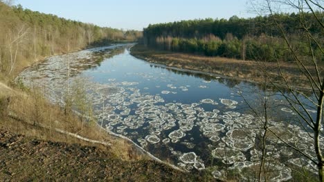 куски льда, медленно спускающиеся по течению реки в солнечный зимний день