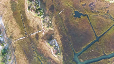 vista de pájaro del ecosistema del estuario y mansiones en martha&#39;s vineyard