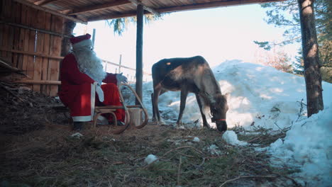 Der-Weihnachtsmann-Saß-Auf-Einem-Schlitten-Mit-Einem-Rentier-Neben-Ihm