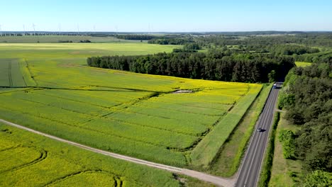 Panorama,-view-of-a-road-between-trees,-cars-driving-on-it,-and-shadow-of-wind-turbine-blades,-renewable-energy-sources