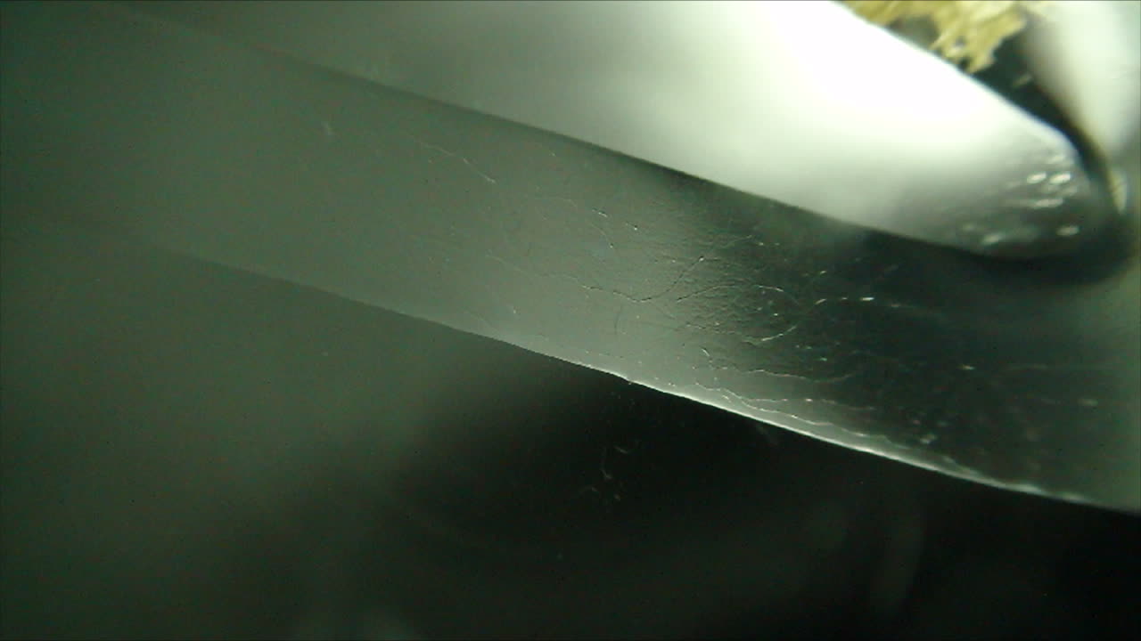 physarum polycephalum, 모퉁이에서 빠른 속도로 자라는 변형체 점균류