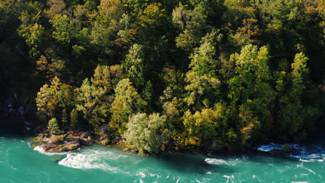 Grüner-Wald-Und-Klarer-Bergfluss