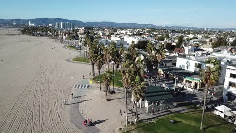 playa de venecia - palmeras - océano