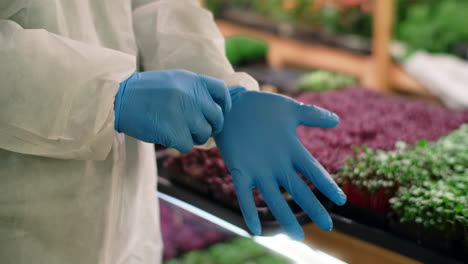 worker putting on gloves in a grocery store