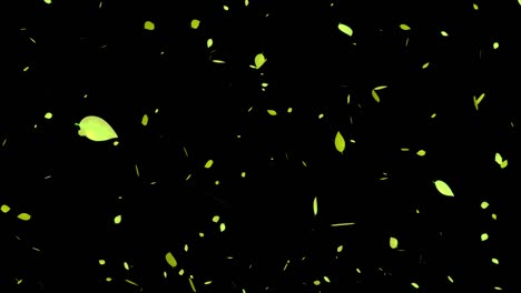 yellow dead leaves, autumn leaves, autumn, particles that emerge, motion graphics