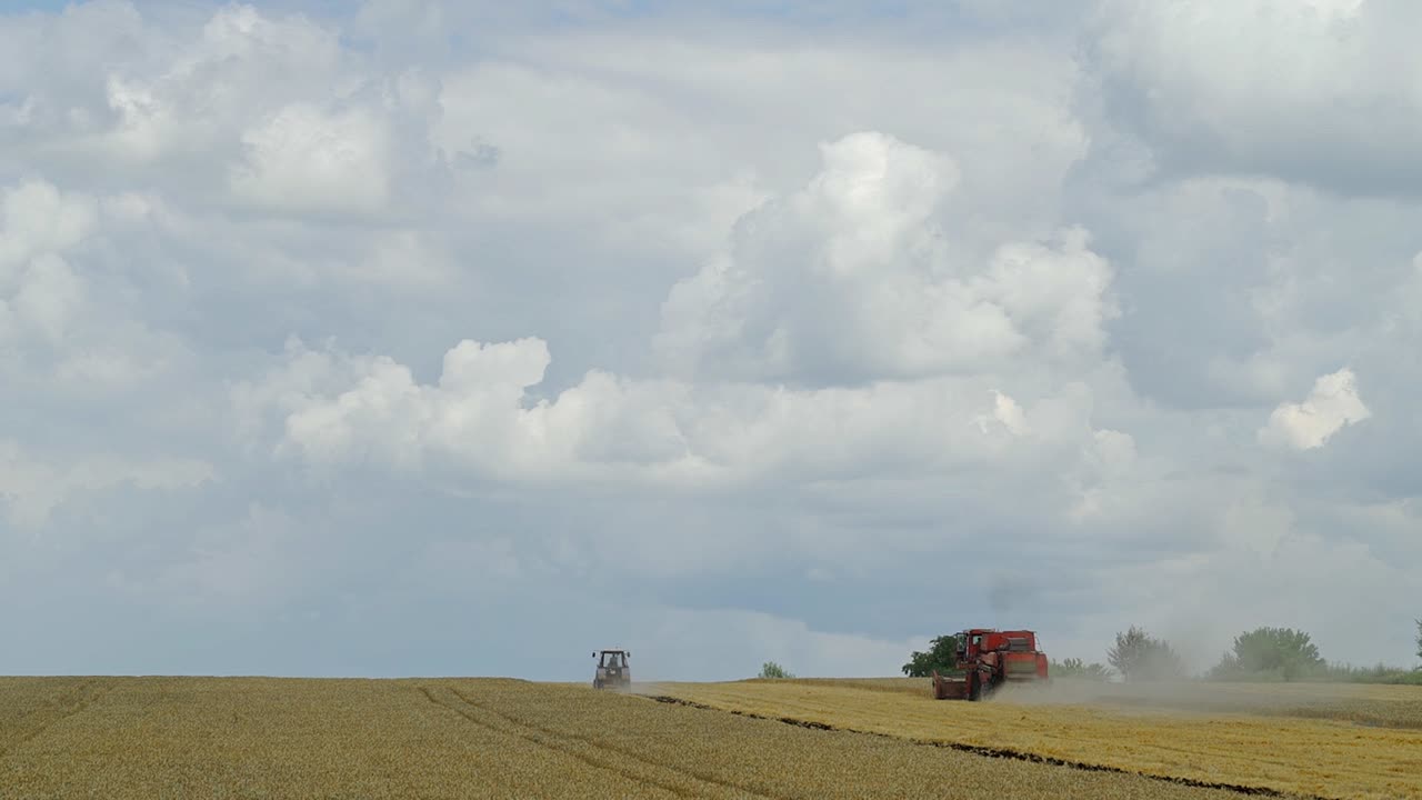 Grain harvesting equipment in the field. Harvest time. Wheat field
