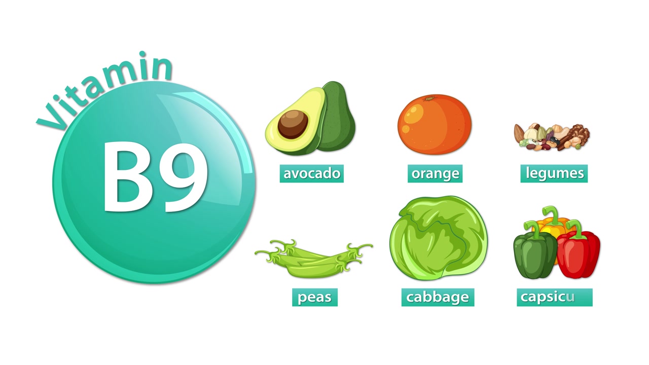 L'infografica animata rivela gli alimenti ricchi di vitamina B9 con transizioni fluide, design piatto e sfondo bianco