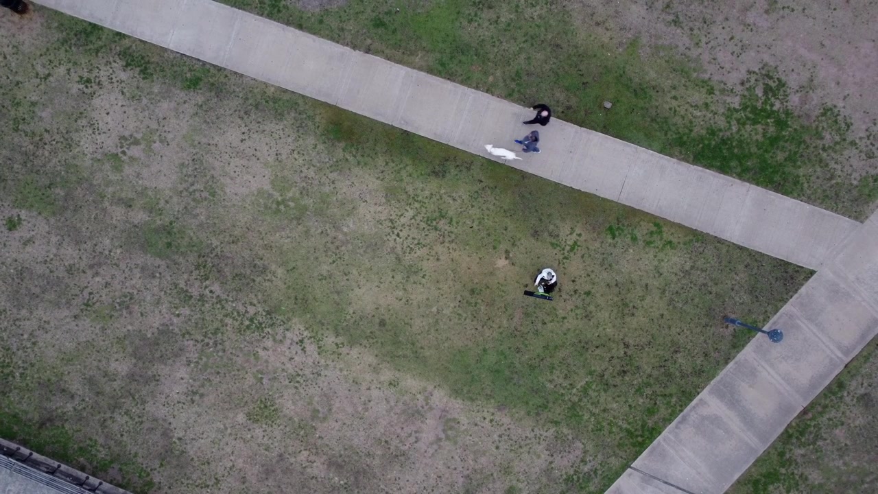 Vista aerea di persone che camminano e si godono il parco