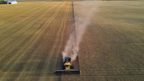 Aerial-frontal-drone-view-from-above-of-a-modern-combine-harvester-reaping-wheat-seeds-in-Alberta,-Canada