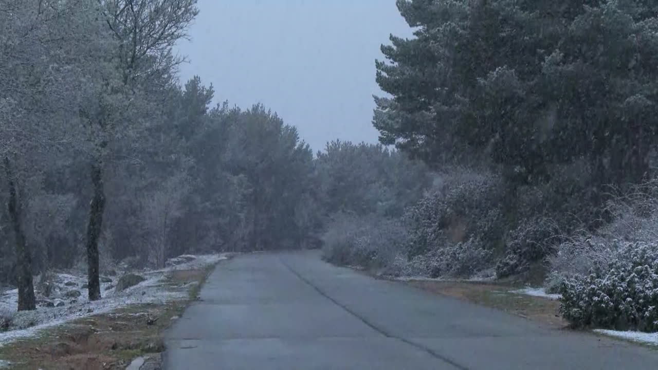 숲을 가로질러 눈 인 길