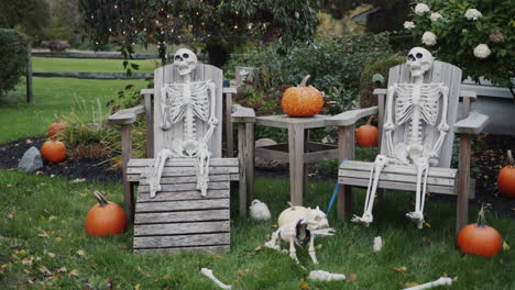 Un-Par-De-Esqueletos-Descansando-En-Tumbonas---Decoración-De-Halloween