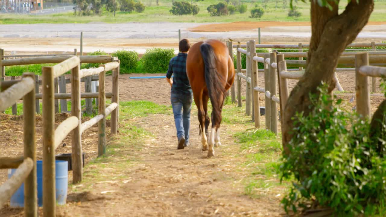 mujer caminando con caballo en el establo 4k