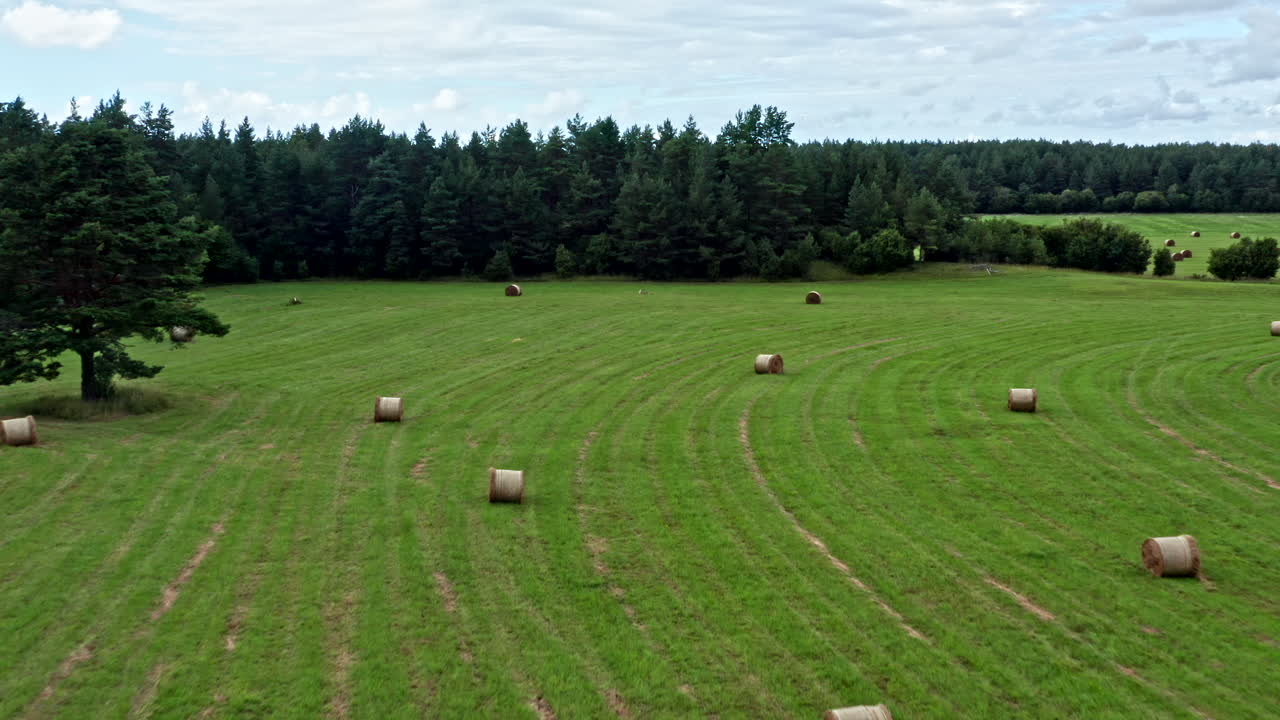 Green Field with Tall Trees, Bales of Straw in Estonia - Backwards Dolly Shot