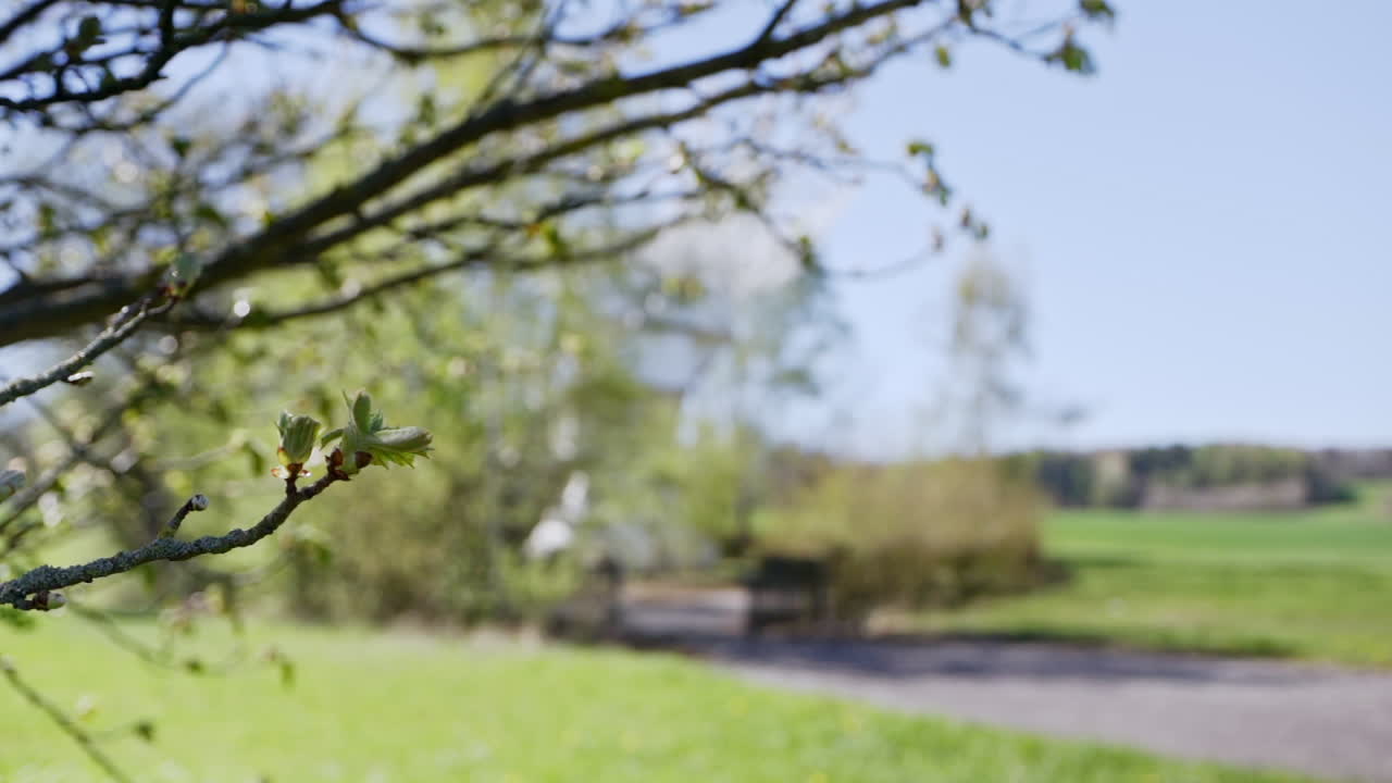 초원에 버려진 레이더 스테이션