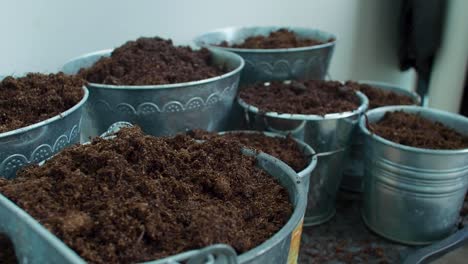 the pots filled with soil are being sprayed with water, ensuring adequate hydration for the soil and the plants within