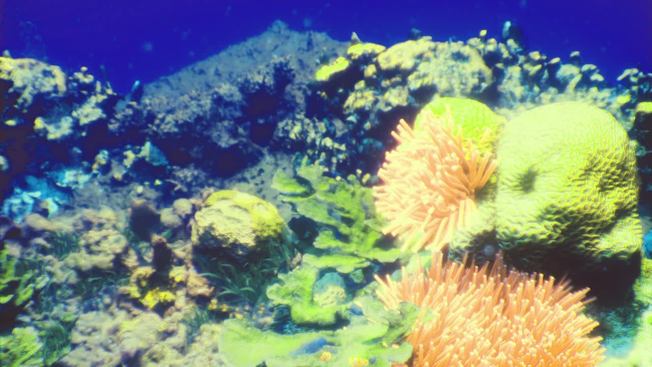 Vibrant coral reef full of marine life in a tropical setting