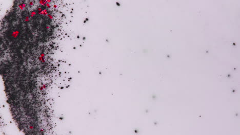 abstract liquid art with glitter and powder