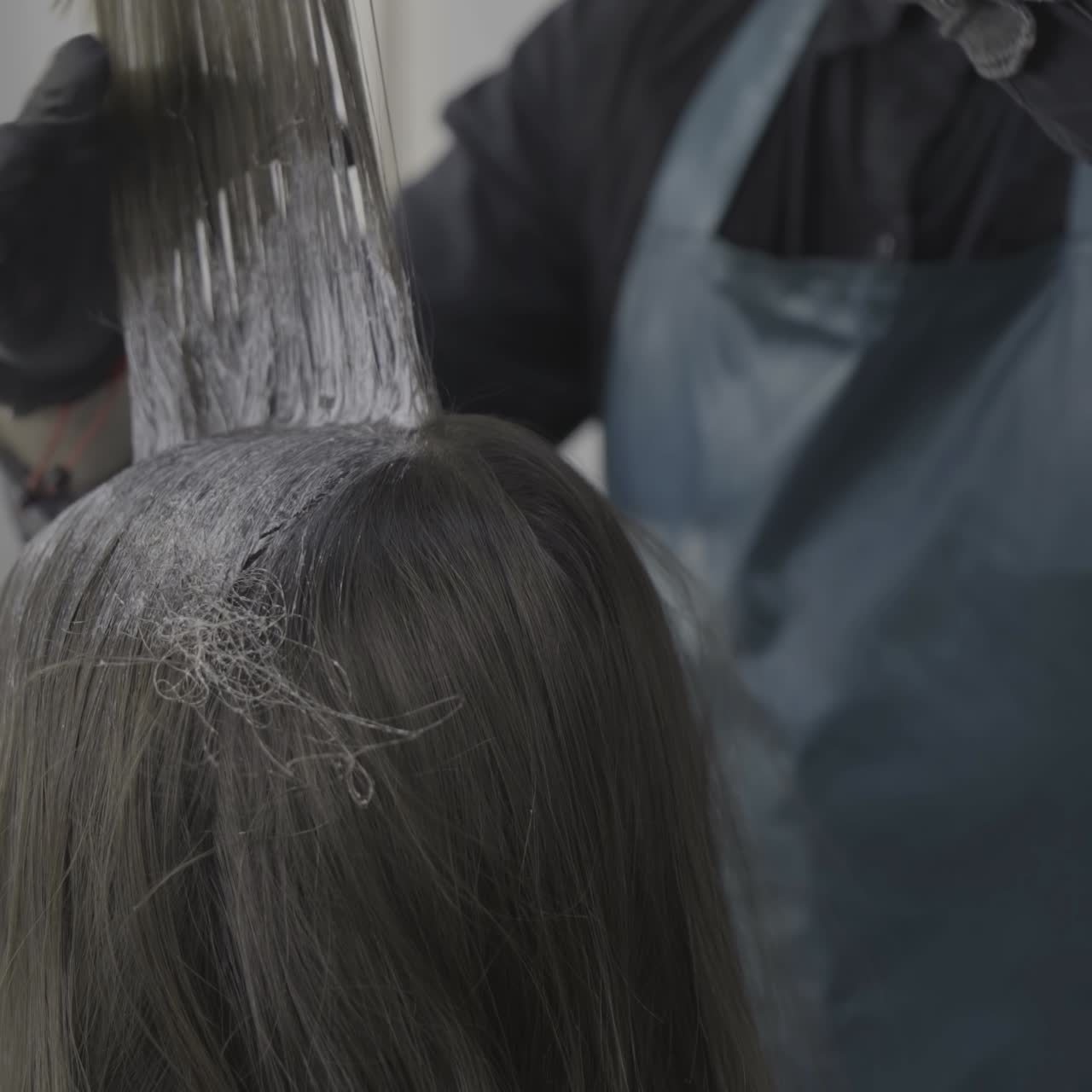 Professional hairdresser cutting hair