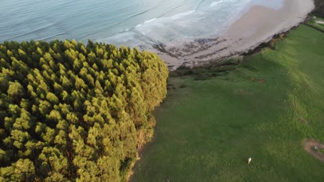 amazing oyambre beach in galicia, spain, with green trees and sunny weather, by drone