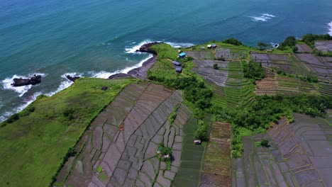 agricultural fields, blue sea and the beach love during summer in bali, indonesia